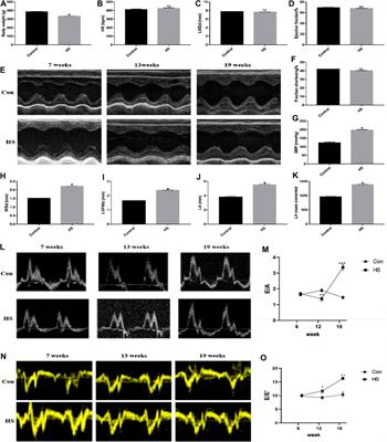 Sacubitril/Valsartan Reduces Fibrosis and Alleviates High-Salt Diet-Induced HFpEF in Rats